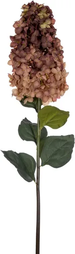 Vista 11 de Vickerman Espray de hortensias de cono artificial burdeos de 35.5 pulgadas, 2 por bolsa.