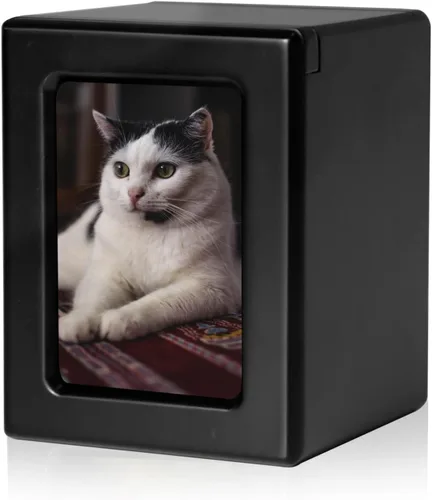 Vista 8 de PCS Urnas de mascotas para gatos, urna de foto de gato, urnas de gato para cenizas, caja de cremación para mascotas, color negro, pequeña