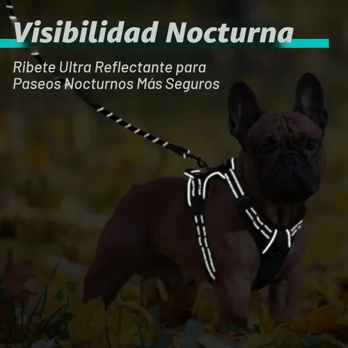 Vista 5 de BARKBAY Arnés para perro sin tirones para perros pequeños, ajustable, reflectante, cómodo, sin estrangulamiento, resistente, perfecto para Negro