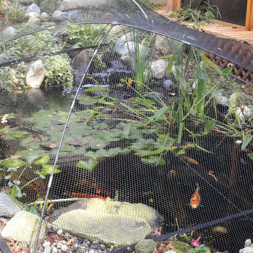 Vista 6 de Red de estanque para peces Koi para hojas de 10x30 pies, red de malla fina tejida de 1/2 pulg. fuerte para hojas de estanque, protección de peces