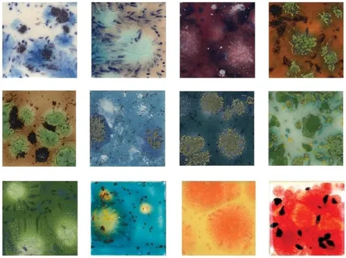 Vista 2 de Mayco Jungle Gems Crystal Glaze Juego de 12 colores #2 - Tarros de 4 onzas