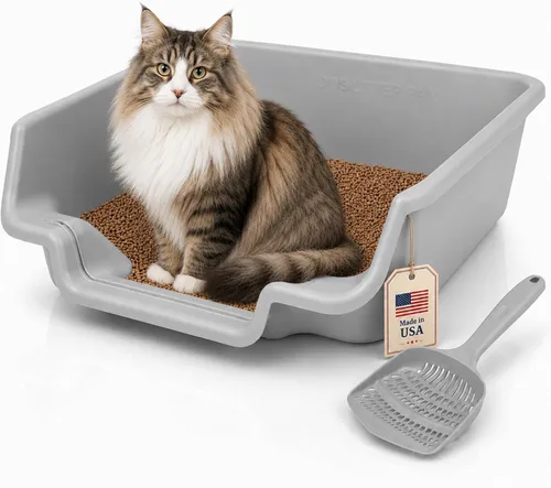 Vista 49 de KittyGoHere - Caja de arena para gatos mayores, sartén pequeña con cuchara jumbo de mango largo, caja de arena para gatos de entrada baja, ligera