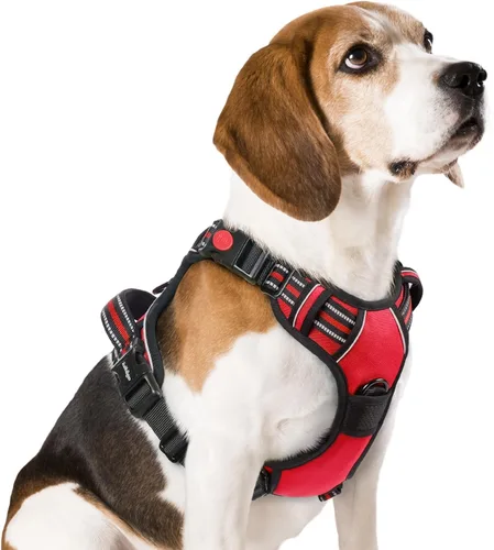 Vista 71 de Rabbitgoo - Arnés para perro de tamaño pequeño, arnés para mascotas sin tirones con 3 hebillas, chaleco acolchado suave ajustable con mango