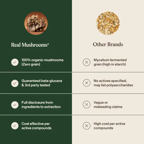 Vista 7 de Real Mushrooms Cápsulas de Cola de Pavo – Extracto de Hongo Orgánico para el Bienestar y Ritmo Diario – Vegano, Sin GMO, Sin Rellenos Extracto