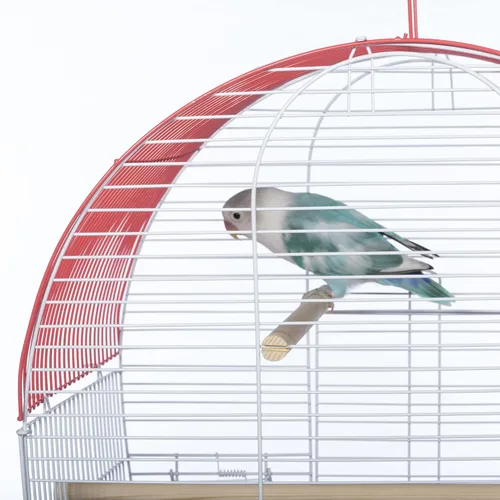 Vista 5 de Prevue Pet Products South Beach Dome Top Bird Jaula, Coral (SP50100)
