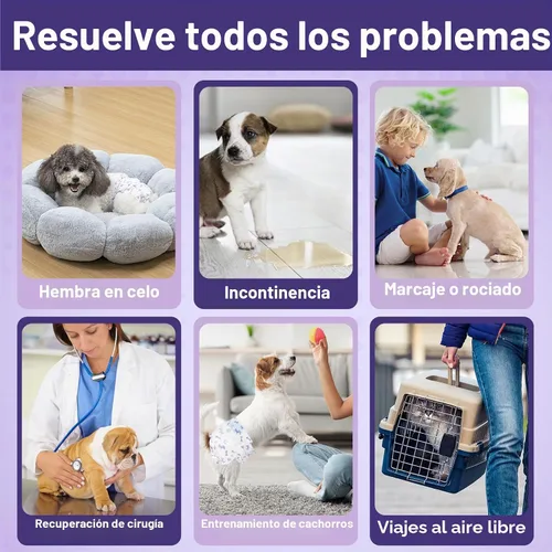 Vista 4 de Pet Soft Pañales desechables para perras – Pañales desechables para perritos con indicador de humedad, pañal para cachorros y gatos súper