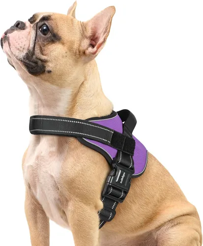 Vista 13 de rabbitgoo Arnés para perro de tamaño pequeño, chaleco para mascotas sin tirones, sin estrangulamiento, fácil de llevar con una hebilla, reflectante