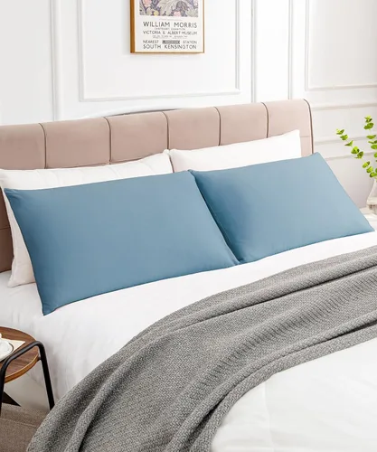 Vista 3 de Warmstar - Juego de 2 fundas de almohada de algodón tamaño estándar, 600 hilos, fundas de 20 x 26 pulgadas, algodón suave de fibra larga Placid Blue