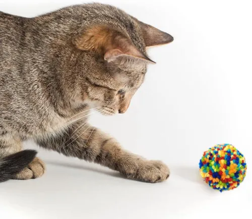 Vista 3 de Andiker 6 piezas de juguetes de bolas de gato de colores surtidos, hilo de lana, bolas de pompón para gatos, juguetes interactivos para perseguir
