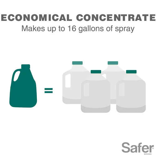 Vista 8 de Safer Brand Neem Concentrado de aceite – insecticida, acicida y fungicida para plantas – Mata insectos y ácaros, controla enfermedades fúngicas