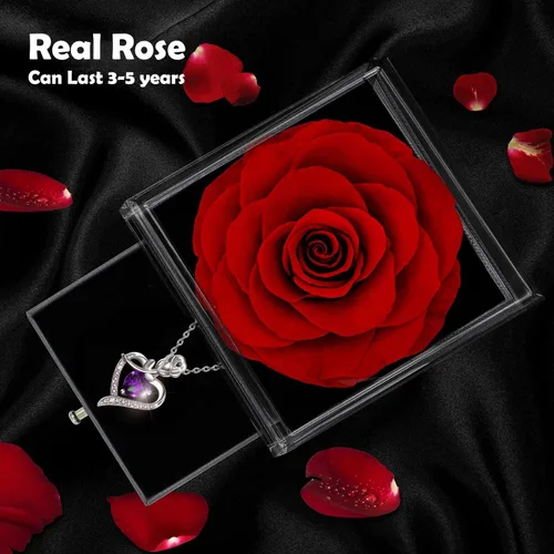 Vista 3 de Forever Rose - Caja de regalo con collar – Rosa eterna real con collar de plata de ley 925 en el interior, flor de rosa real encantada para el día