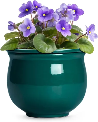 Vista 25 de Macetas de riego automático de 6 pulgadas para plantas de interior, macetas de cerámica violeta africana con maceta interior absorbente, maceta