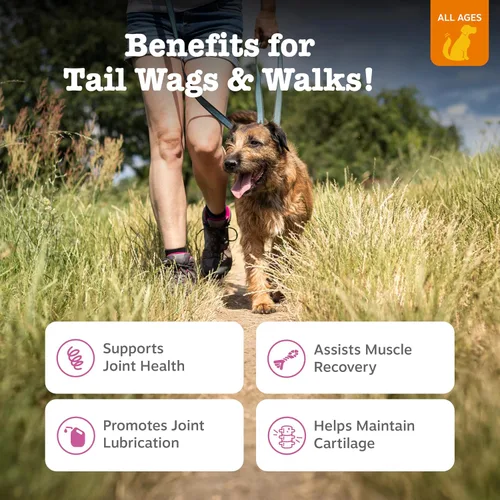 Vista 2 de Zesty Paws Cadera y articulación para perros, glucosamina para perros Suplemento de cadera y articulaciones con condroitina, MSM, vitaminas C y E