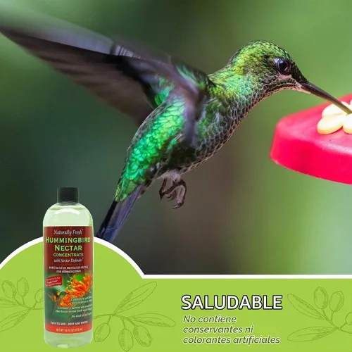 Vista 3 de Néctar de colibrí naturalmente fresco con defensor de néctar – Néctar de larga duración para comederos de colibríes – Concentrado fácil de usar