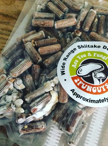 Vista 2 de Kit de inicio Shiitake Plug Spawn - Cultiva tus propios hongos