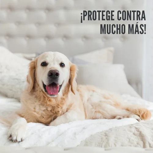 Vista 7 de DMI Protector de colchón impermeable individual – Ajustado, funda de colchón silenciosa, suave y transpirable, 39 x 75 x 8 pulgadas, color blanco