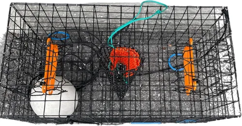 Vista 3 de JOY FISH Jaula para cangrejos azules de Maryland, resistente, de 24""X12""X12"" con malla y bolsa de cebo, grande, negra