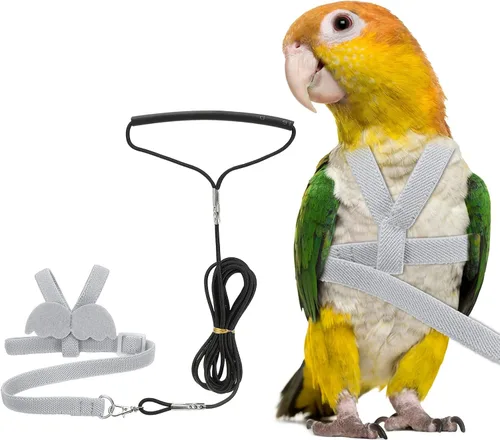 Vista 13 de Correa de arnés para pájaros, arnés ajustable para pájaros y loros para mascotas, ligera, antimordeduras, cuerda de entrenamiento de vuelo con linda