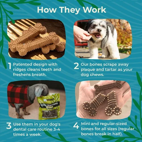Vista 4 de Indigenous Pet Dental Health Bones - Paquete variado de tocino ahumado, zanahoria y calabaza, paquete de 2 (17 onzas cada uno) Masticables