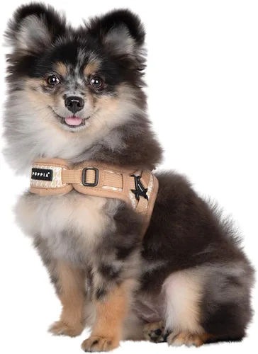 Vista 4 de Puppia Arnés para perro tipo X de primavera y verano, beige_egon, talla S