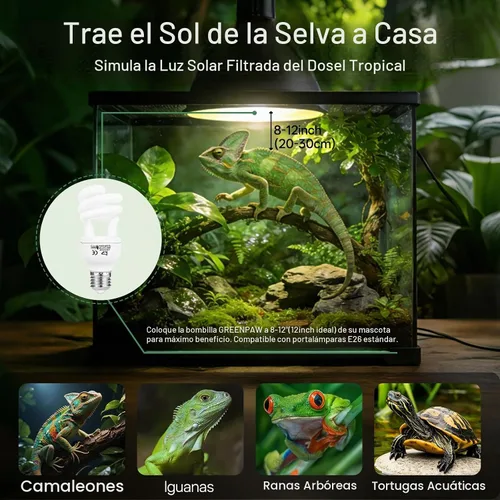 Vista 8 de Bombilla UVB de reptil 5.0 15W, base compacta de luz fluorescente