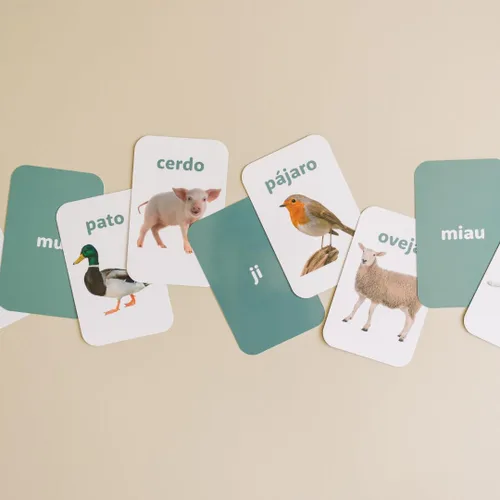 Vista 5 de Tarjetas didácticas para aprender y soltar en español Tarjetas flash en español para niños y niños pequeños Aprende colores, formas, números