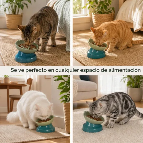 Vista 9 de Cuenco de cerámica para gatos de alimentación lenta Verde