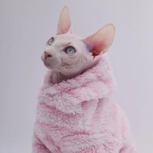 Vista 5 de Ropa para gatos sin pelo, de grosor cálido, suave, de invierno, para gatos Sphynx, gatos Devon Rex, Cornish y gatos pequeños (XS)