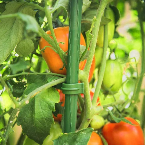 Vista 2 de 48 brazos de estaca para jaula de tomate, conectores de enrejado expandibles de 11.8 pulgadas, conectores de estacas de jardín de 0.433 in