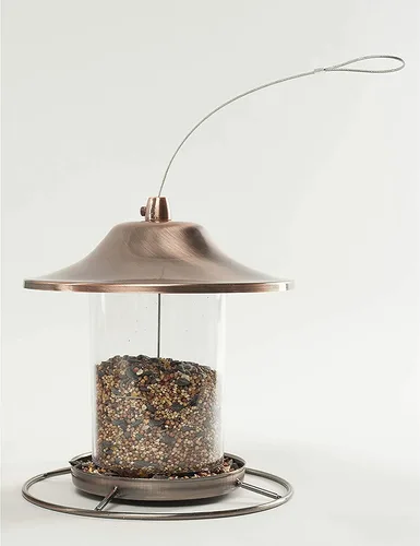 Vista 7 de Wagner's 53003 Farmer's Delight - Alimento para pájaros silvestres con sabor a cereza, bolsa de 20 libras