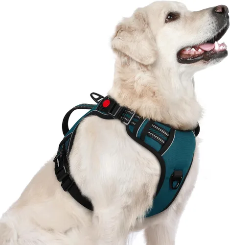 Vista 33 de rabbitgoo Arnés para perro de tamaño pequeño, arnés para mascotas sin tirones con mango acolchado suave, chaleco reflectante ajustable con 3
