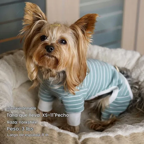 Vista 9 de KYEESE Pijama a rayas para perros pequeños, mameluco elástico para uso 01# Rayas verdes