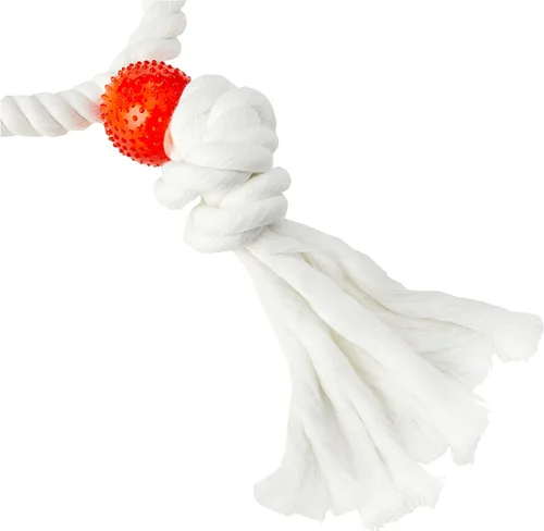 Vista 2 de Rosewood Parrot Toy - Anillos gemelos para loros, tamaño grande
