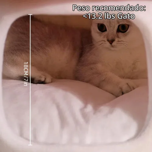 Vista 6 de Mushroom Shape Cat House Cow Shape Cats Cave Bed Semi-Enclosed Cave-Style Warm Cat House Pet Nest for Cats Small Dogs Rojo Champiñón