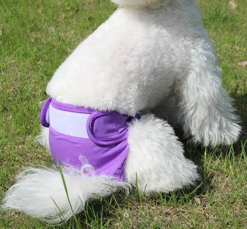 Vista 2 de JoyDaog Pañales para perros pequeños, paquete de 4 pañales reutilizables para cachorros, S