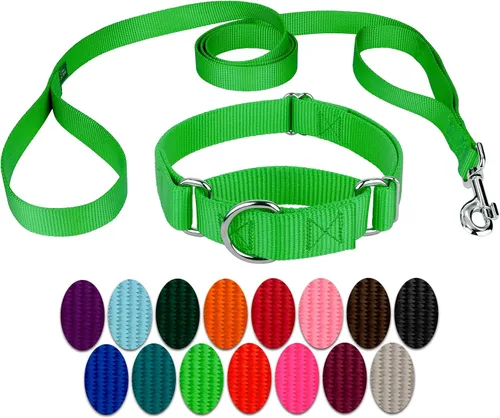 Vista 10 de Country Brook Design - Collar de perro de nailon Martingale y correa de doble asa-Negro-S