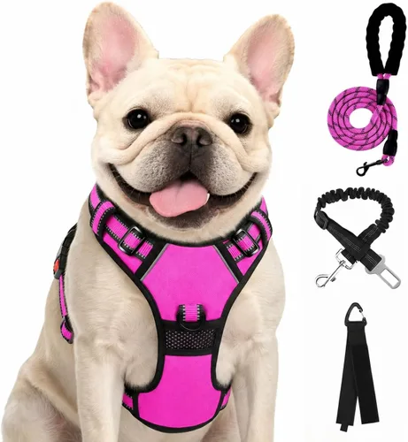 Vista 40 de FURRYFECTION - Arnés para perro a cuadros con correa y cinturón de Rosa