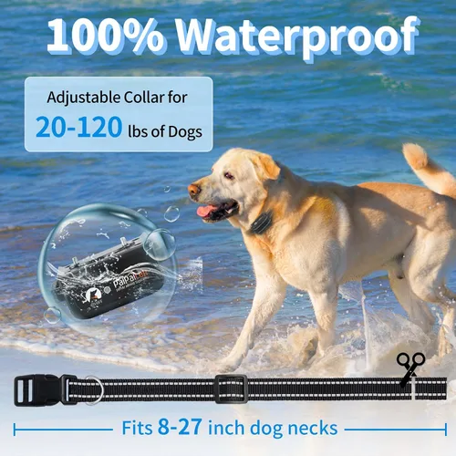 Vista 5 de Collar de ladrido de perro 2 en 1 y collar de entrenamiento – Combo inteligente de collar de ladrido y choque, collar automático de ladridos