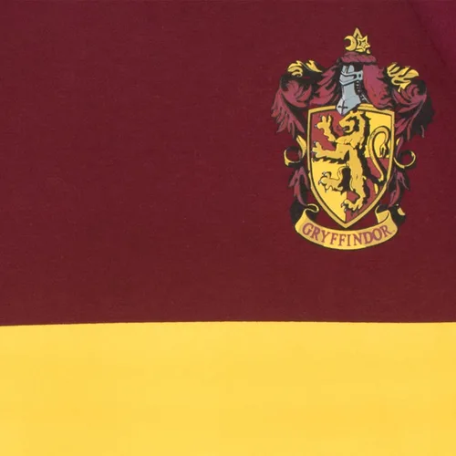 Vista 2 de Harry Potter Boys Gryfindor Quidditch T-Shirt
