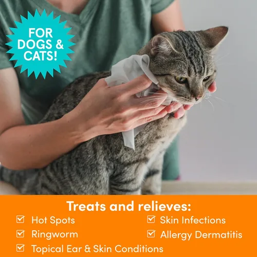 Vista 3 de Nootie - Toallitas medicadas para perros, toallitas para mascotas con clorhexidina y miconazol para perros y gatos - Toallitas pequeñas de 2", 60