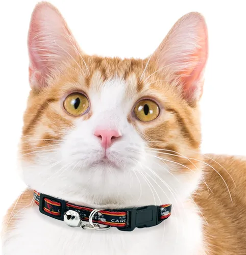 Vista 4 de Collar de gato NFL Arizona Cardinals de raso Collar de equipo de fútbol americano para perros y gatos. Un collar de gato brillante y colorido