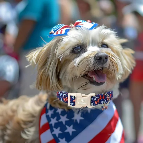Vista 11 de Collar para perros del 4 de julio, collares patrióticos azules para cachorros y perros pequeños, ligero y ajustable 1776 collares para cachorros
