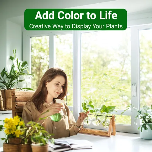 Vista 3 de Estación de propagación, terrario de plantas, regalos para amantes de las plantas para mujeres, soporte de corte de plantas, decoración del hogar