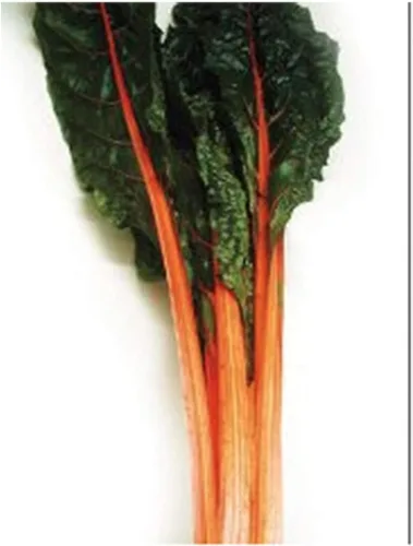 Vista 6 de Acelga de ruibarbo - Deliciosa y nutritiva... - Deliciosa y nutritiva - Aproximadamente 175 semillas