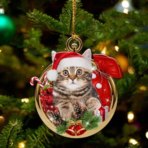 Vista 38 de Nazenti Adorno personalizado de bola de Navidad de pastor australiano – Adorno de perro personalizado para amantes de las mascotas, colgante