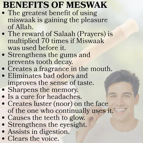 Vista 8 de AnNafi® Siwak Miswak Stick Meswak Arak Peelu - Palo de masticar con sabor natural, cepillo orgánico sellado al vacío, cepillo de dientes de hierbas