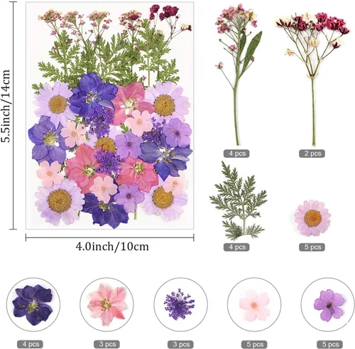 Vista 2 de Tovip 71 piezas de flores y hojas secas prensadas reales, mezcla de flores secas naturales prensadas, flores secas naturales preservadas