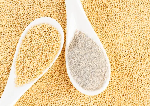 Vista 5 de Food to Live Harina de maranto, 8 onzas de granos enteros finamente molidos, vegano, kosher, a granel. Alto en fibra dietética y proteína a base
