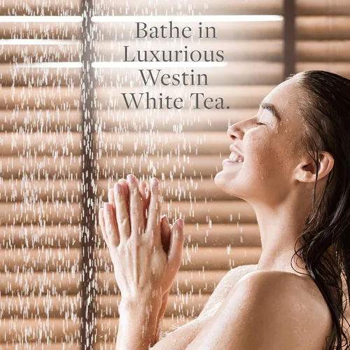 Vista 3 de Westin Champú de aloe de té blanco, champú lleno de vitaminas y antioxidantes para todo tipo de cabello, aroma a aloe de té blanco, 8 onzas