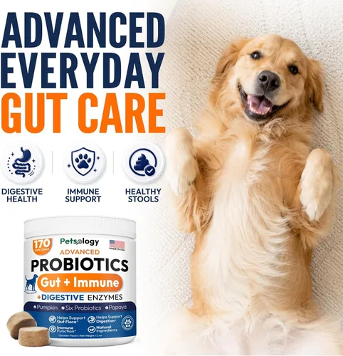 Vista 2 de (Paquete de 2) Probióticos para Perros - 340 Masticables Probióticos para Perros - Enzimas Digestivas y Prebióticos - Apoyan la Salud Intestinal
